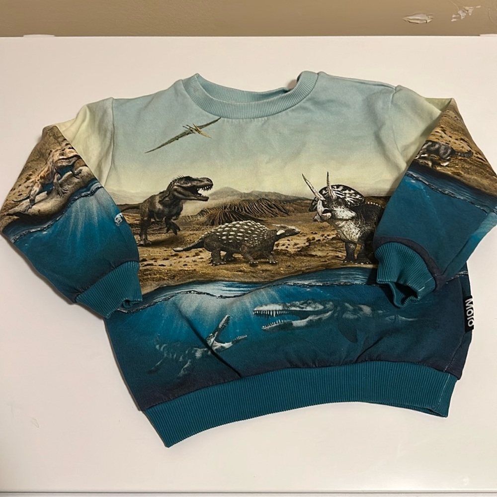 Boys Molo Dinosaur sweatshirt